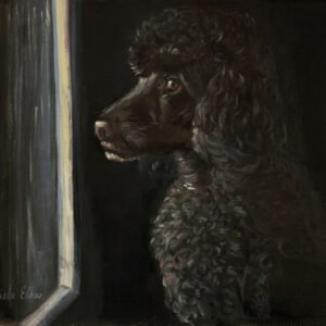 Profile view of a black poodle looking out a window with a dark background.