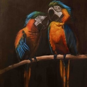 Two macaw parrots with vibrant feathers perched on a branch against a dark background.