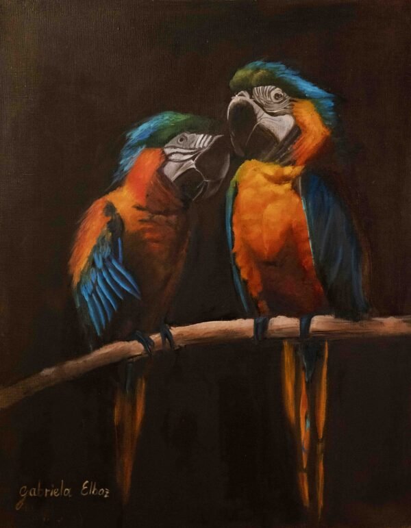 Two macaw parrots with vibrant feathers perched on a branch against a dark background.